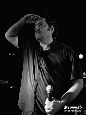 Camper Van Beethoven in concert