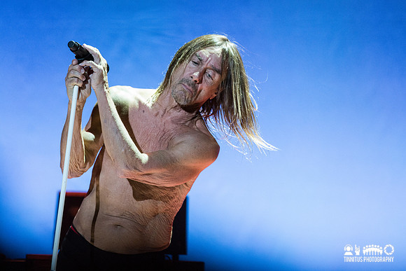Iggy Pop in concert