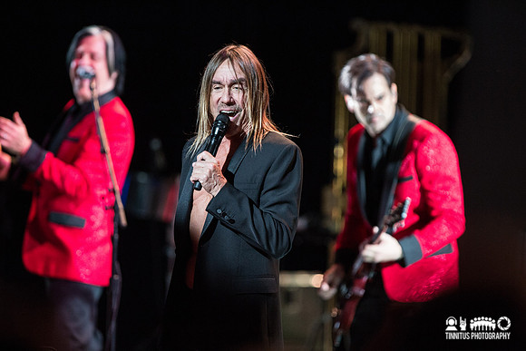 Iggy Pop in concert