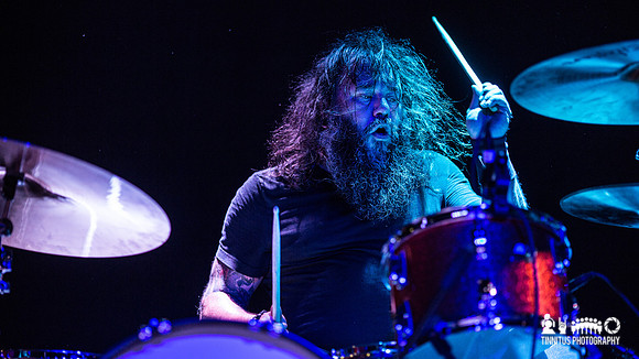 Gozu in concert