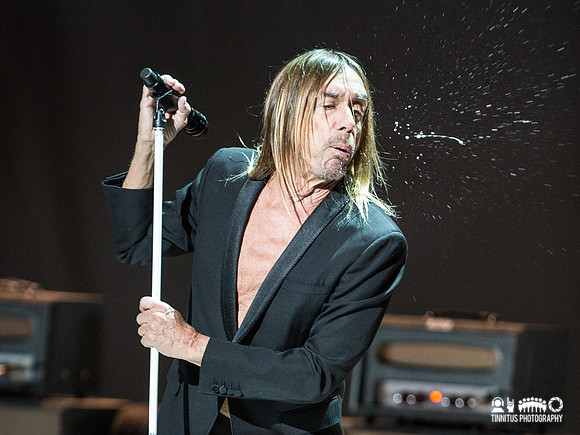 Iggy Pop in concert