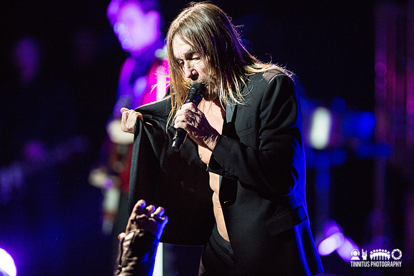 Iggy Pop in concert