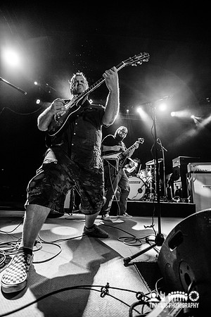 Gozu in concert
