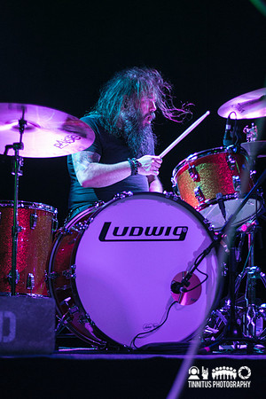 Gozu in concert