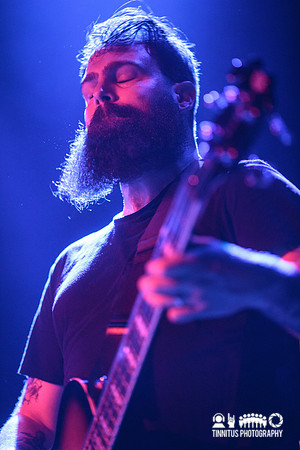 Gozu in concert