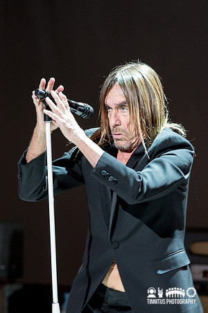 Iggy Pop in concert