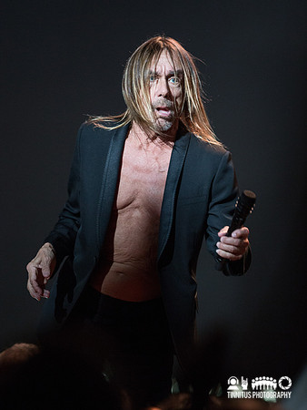 Iggy Pop in concert