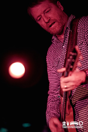Camper Van Beethoven in concert