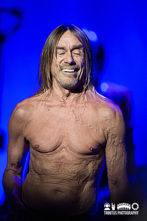 Iggy Pop in concert