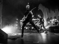 Rise Against in concert