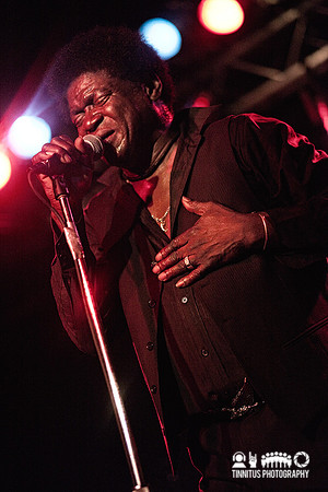 Charles Bradley in concert