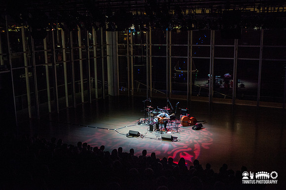Marc Ribot in concert