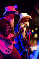 Honky in concert