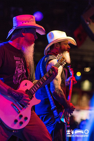 Honky in concert