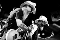 Honky in concert