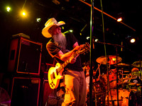 Honky in concert