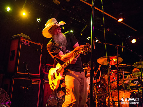 Honky in concert