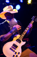 Honky in concert