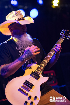 Honky in concert