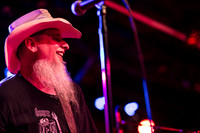 Honky in concert