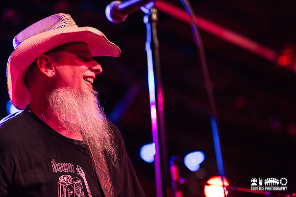 Honky in concert