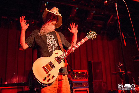 Honky in concert