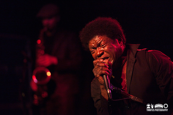 Charles Bradley in concert
