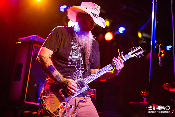 Honky in concert