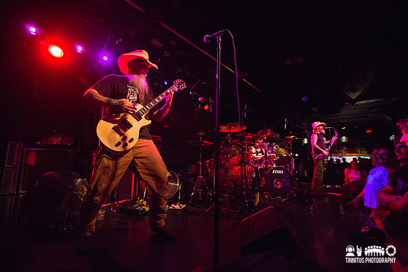 Honky in concert