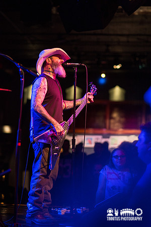 Honky in concert