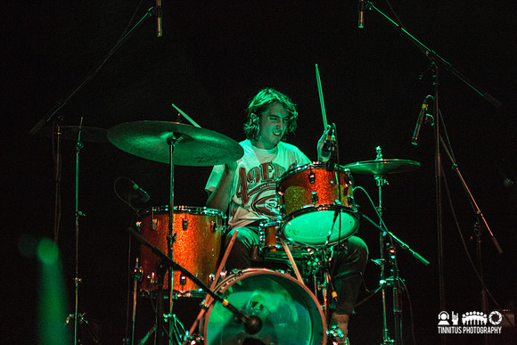 Walter in concert