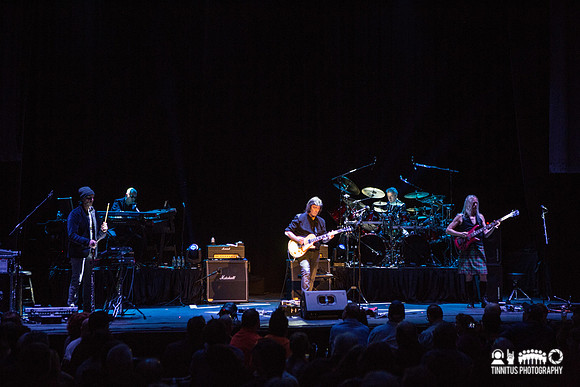 Steve Hackett in concert