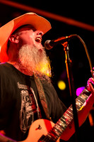 Honky in concert