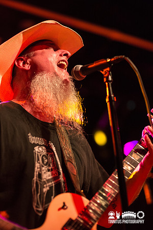 Honky in concert