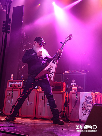 Eagles Of Death Metal in concert
