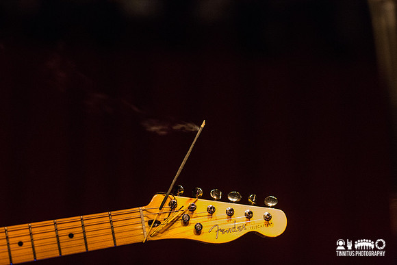 Nico Turner in concert
