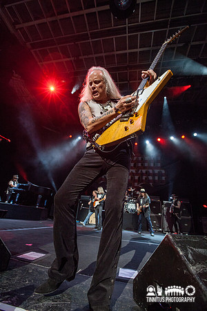 Lynyrd Skynyrd in concert