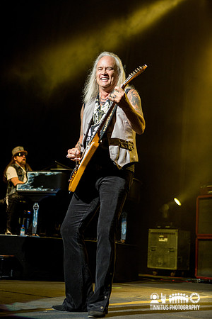 Lynyrd Skynyrd in concert