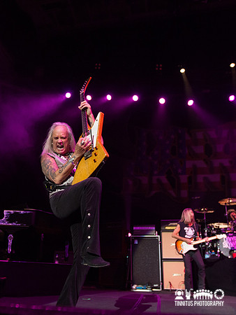 Lynyrd Skynyrd in concert