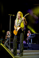 Lynyrd Skynyrd in concert