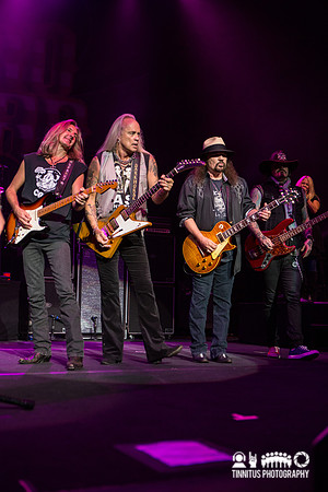 Lynyrd Skynyrd in concert