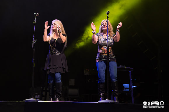 Lynyrd Skynyrd in concert