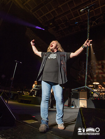Lynyrd Skynyrd in concert