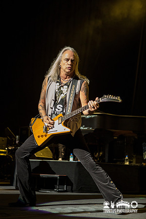 Lynyrd Skynyrd in concert