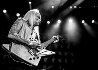 Lynyrd Skynyrd in concert