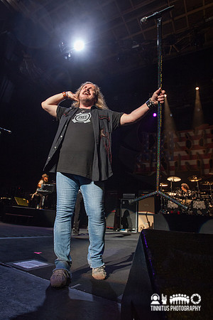 Lynyrd Skynyrd in concert