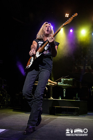 Lynyrd Skynyrd in concert