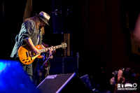 Lynyrd Skynyrd in concert