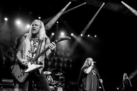 Lynyrd Skynyrd in concert