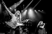 Lynyrd Skynyrd in concert